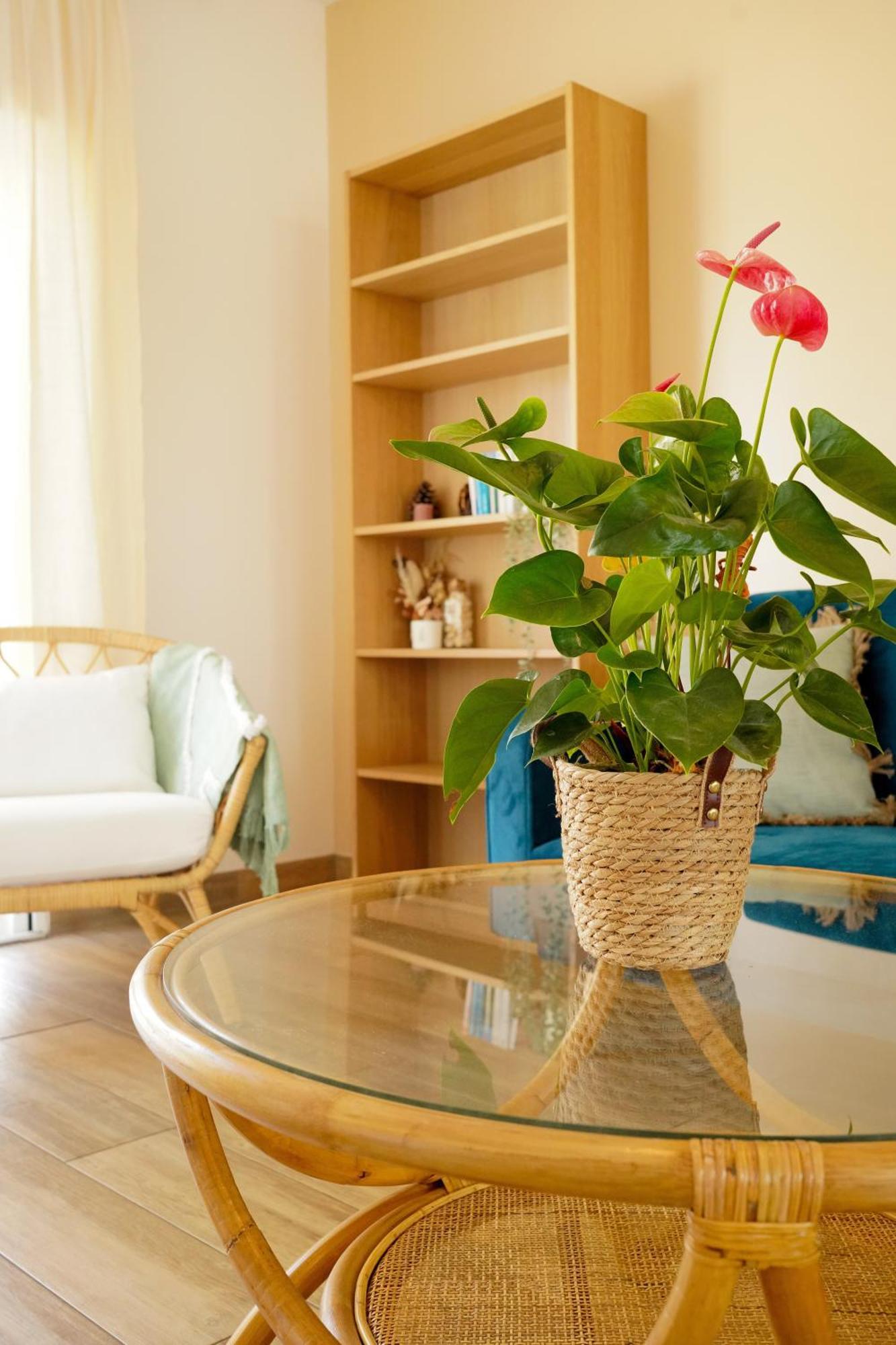Le Cocon Bleu Apartment Parentis-en-Born Exterior photo